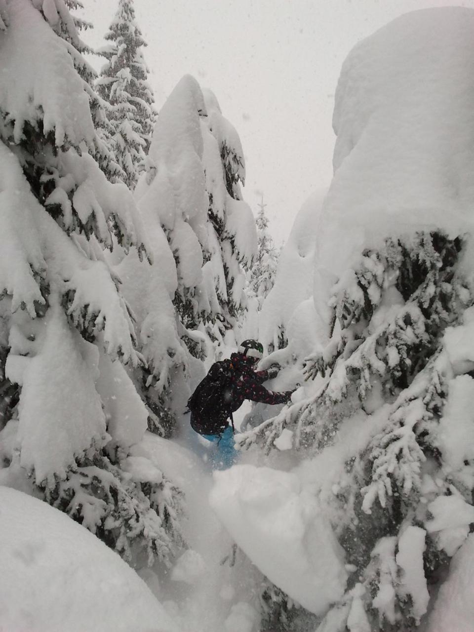 Alpenferienwohnung Strickner ノイシュティフト・イム・シュトゥーバイタール エクステリア 写真